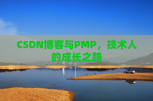 CSDN博客与PMP，技术人的成长之路
